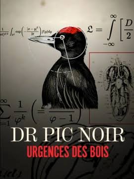 Dr Pic Noir, urgence des bois